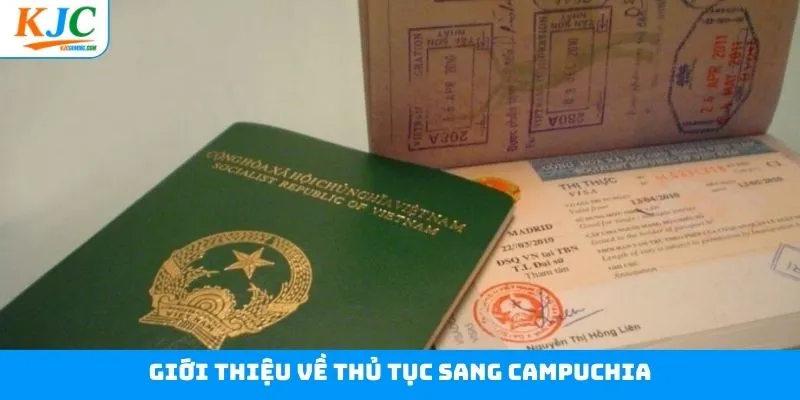 Tìm hiểu cụ thể về các thủ tục cần thực hiện
