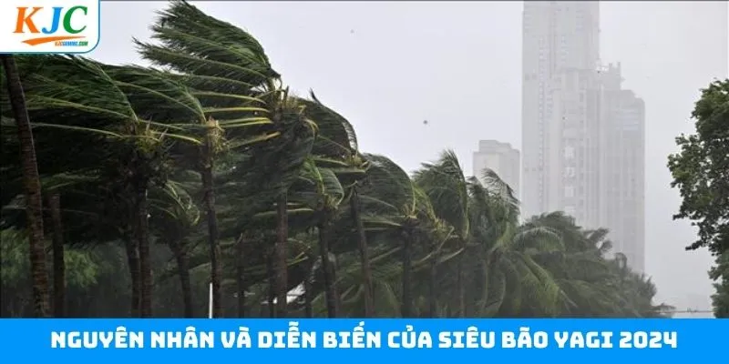 Tìm hiểu nguyên nhân và diễn biến của siêu bão Yagi