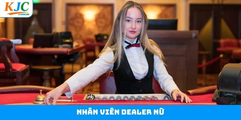 Nhân Viên Dealer Nữ - Cơ Hội Vàng, Thu Nhập Hấp Dẫn Tại KJC