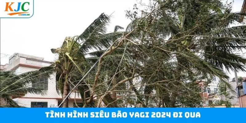 Các điều cần chú ý khi siêu bão Yagi 2024 hoành hành